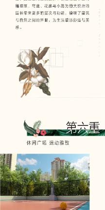 小艾比摄影家