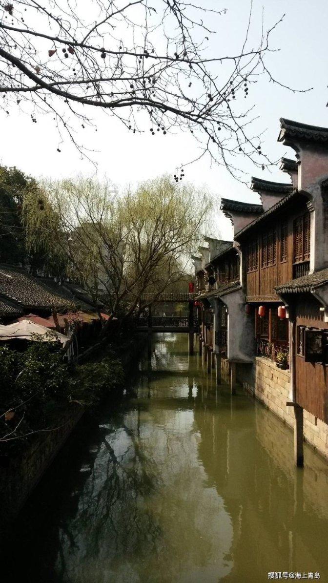 美人鱼的聚会